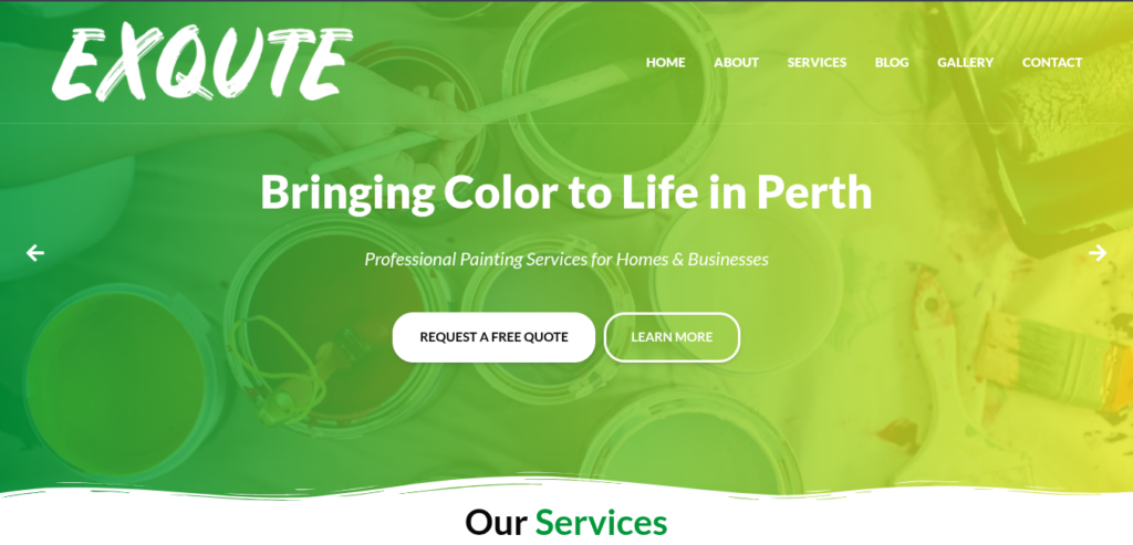 BRZ Painting website homepage hero section for Perth painting business